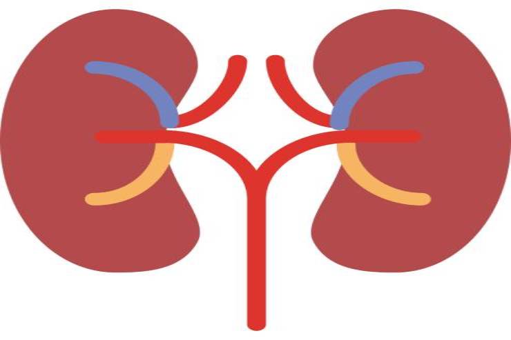 Peritoneal Dialysis